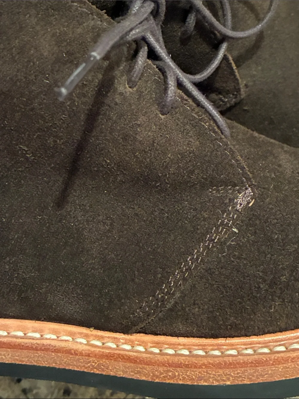 Men's 8 Taylor Stitch (The Chukka) Dark Brown Suede Chukka Boots - Lace-Up. NWOT